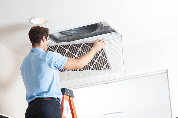 Best HVAC tune-up services  in Ortonville, MI